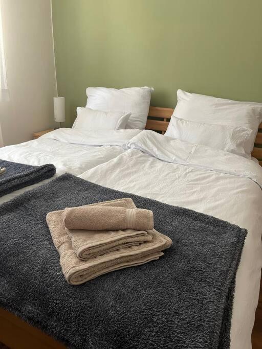 Priestranny 3 Izb. Apartman V Centre S Parkovanim. 班斯卡-比斯特里察 外观 照片
